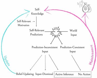 The Role of Predictions, Their Confirmation, and Reward in Maintaining the Self-Concept